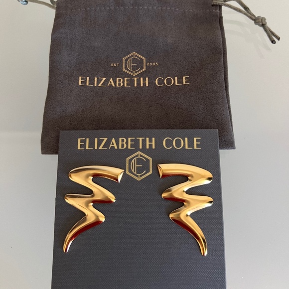 ELIZABETH COLE Rosaura Gold Plated Wavy Earrings - Picture 1 of 5